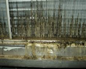 Dirty Coils with biofilm re-circulate bacteria and mold in buildings and increase energy costs